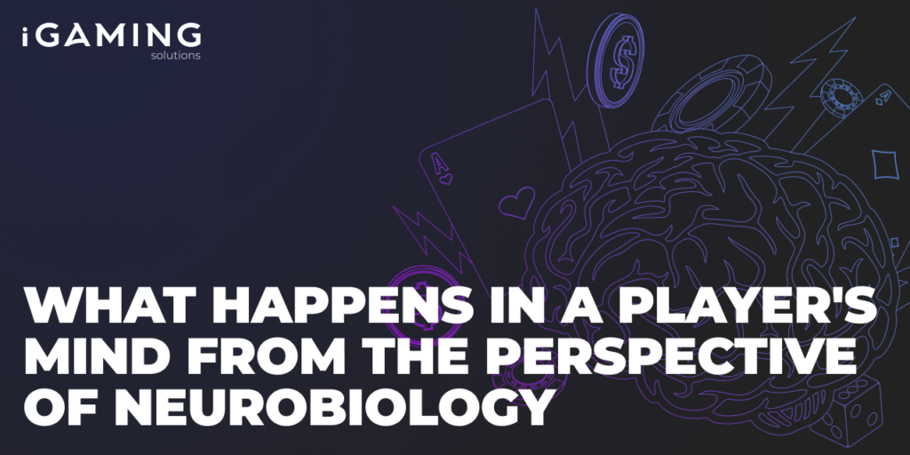 What happens in a player's mind from the perspective of neurobiology
